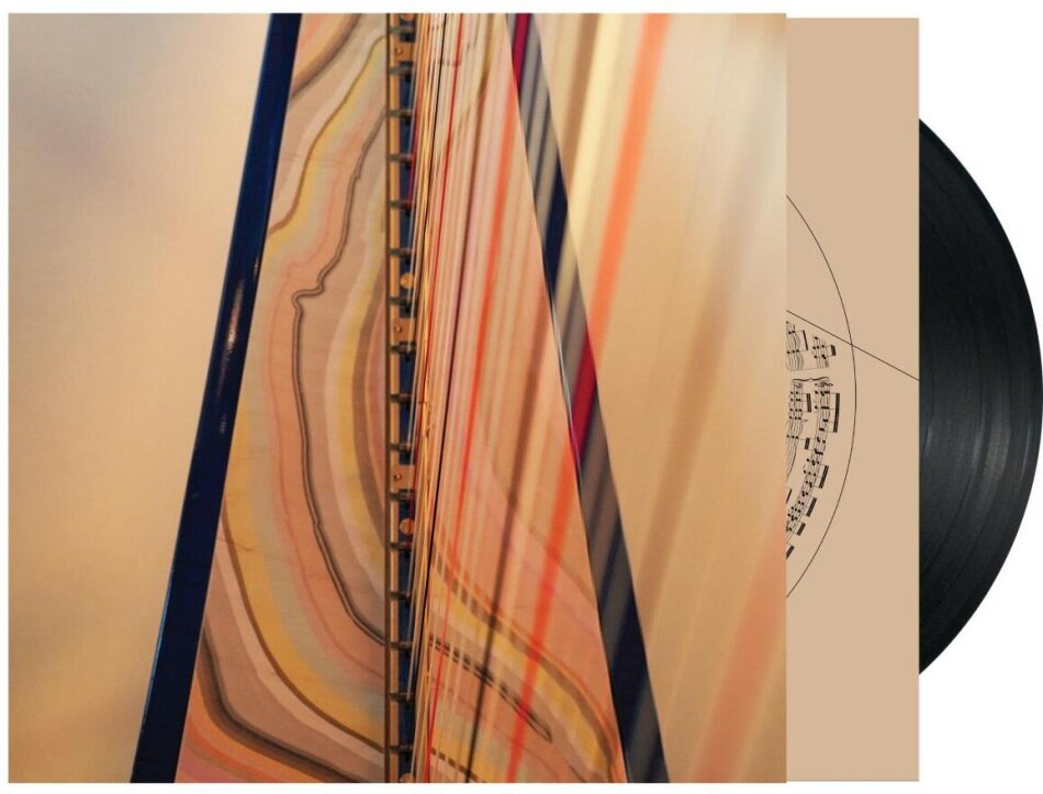 Lara Somogyi - A (Time) Patterned LP