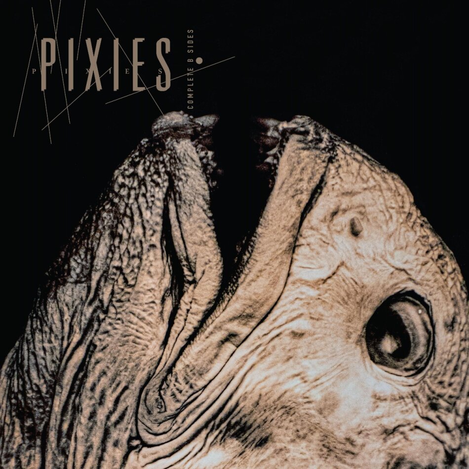 The Pixies - Complete B Sides: 1988-97 2 CDs