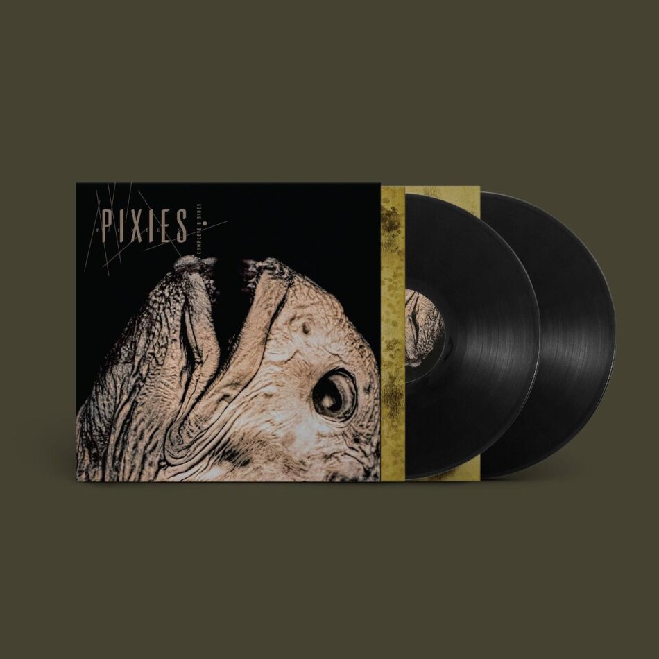 The Pixies - Complete B Sides: 1988-97 Limited Edition, 2 LPs