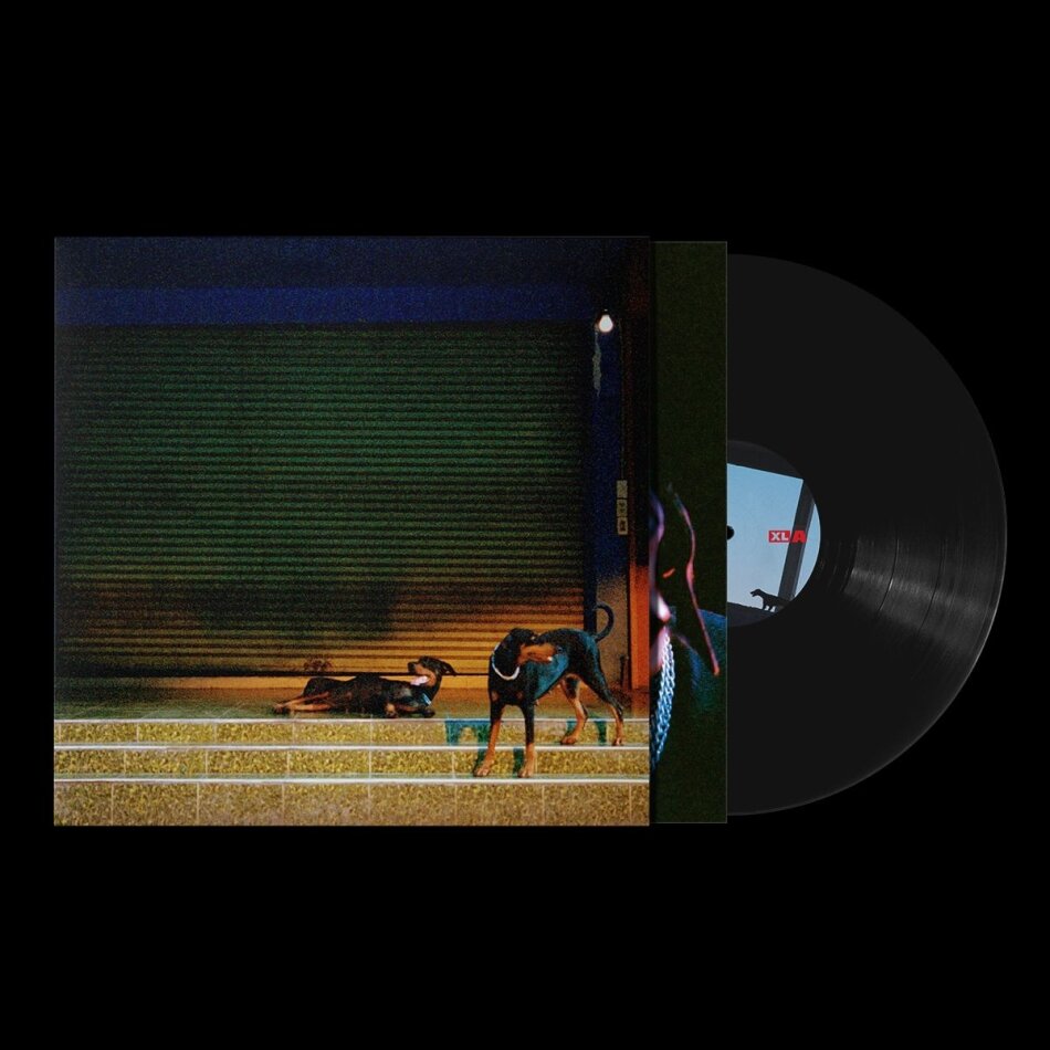 Overmono - Pure Devotion LP