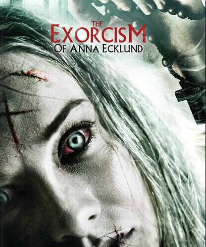 The Exorcism of Anna Ecklund (2016)