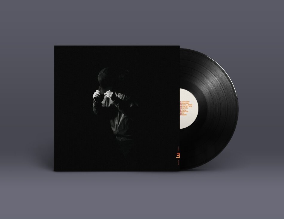 Richard Spaven - Light Of Day LP