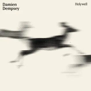 Damien Dempsey - Holywell