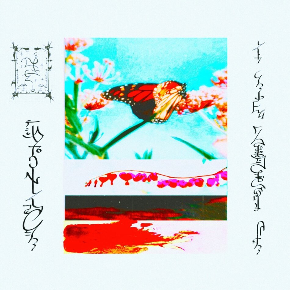 Trhä - Lact'eben LP