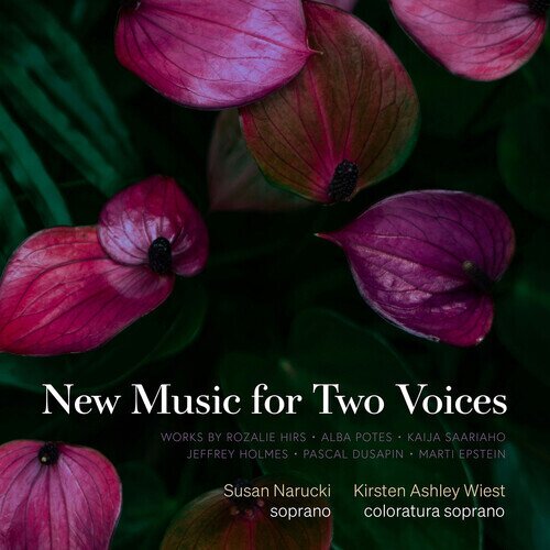 Rozalie Hirs, Alba Potes, Kaija Saariaho (*1952), Jeffrey Holmes (*1971), … - New Music For Two Voices