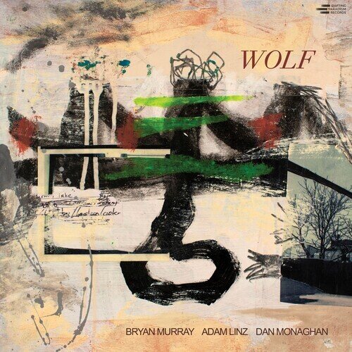 Bryan Murray - Wolf LP