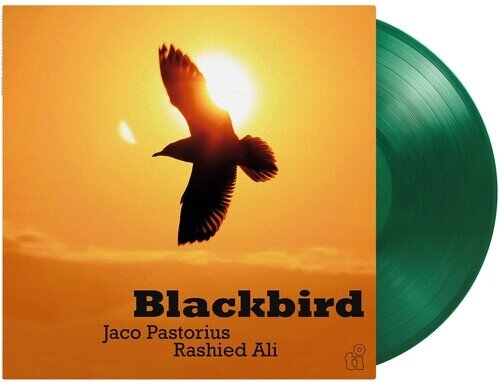 Jaco Pastorius & Ali Rashed - Blackbird 2026 Reissue, Music On Vinyl, Colored, LP