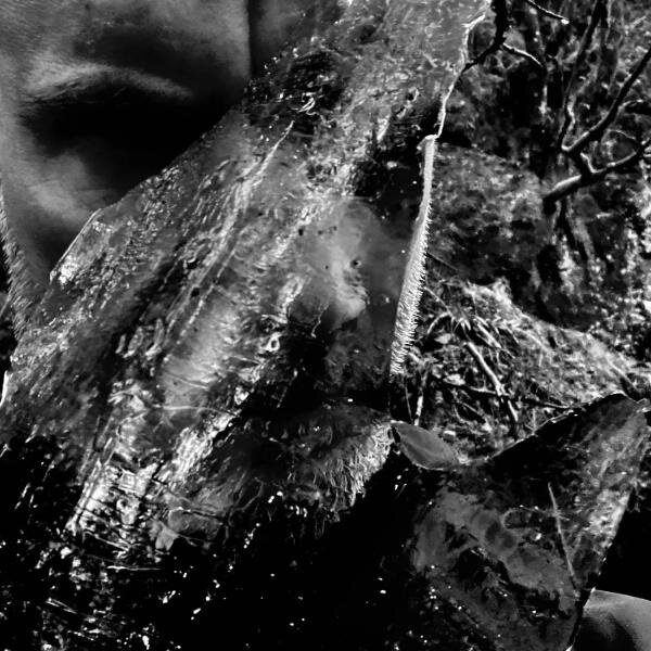 Taake - En Skog Av Nidstang Jewel Case