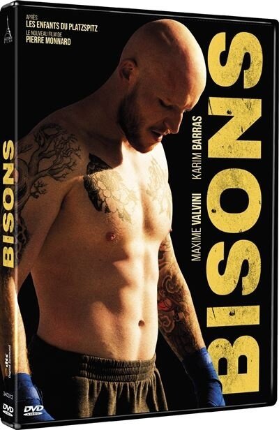 Bisons (2024)
