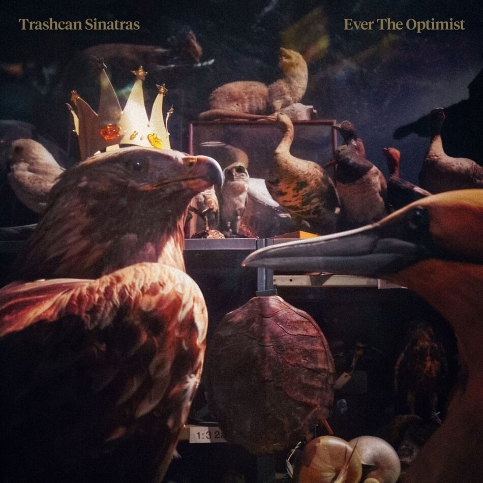 Trashcan Sinatras - Ever The Optimist Gold Vinyl, LP