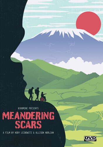Meandering Scars (2025)