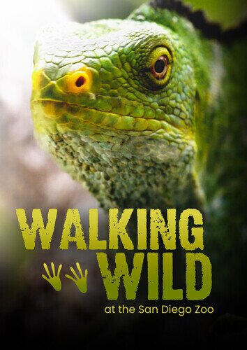 Walking Wild at the San Diego Zoo 2 DVDs