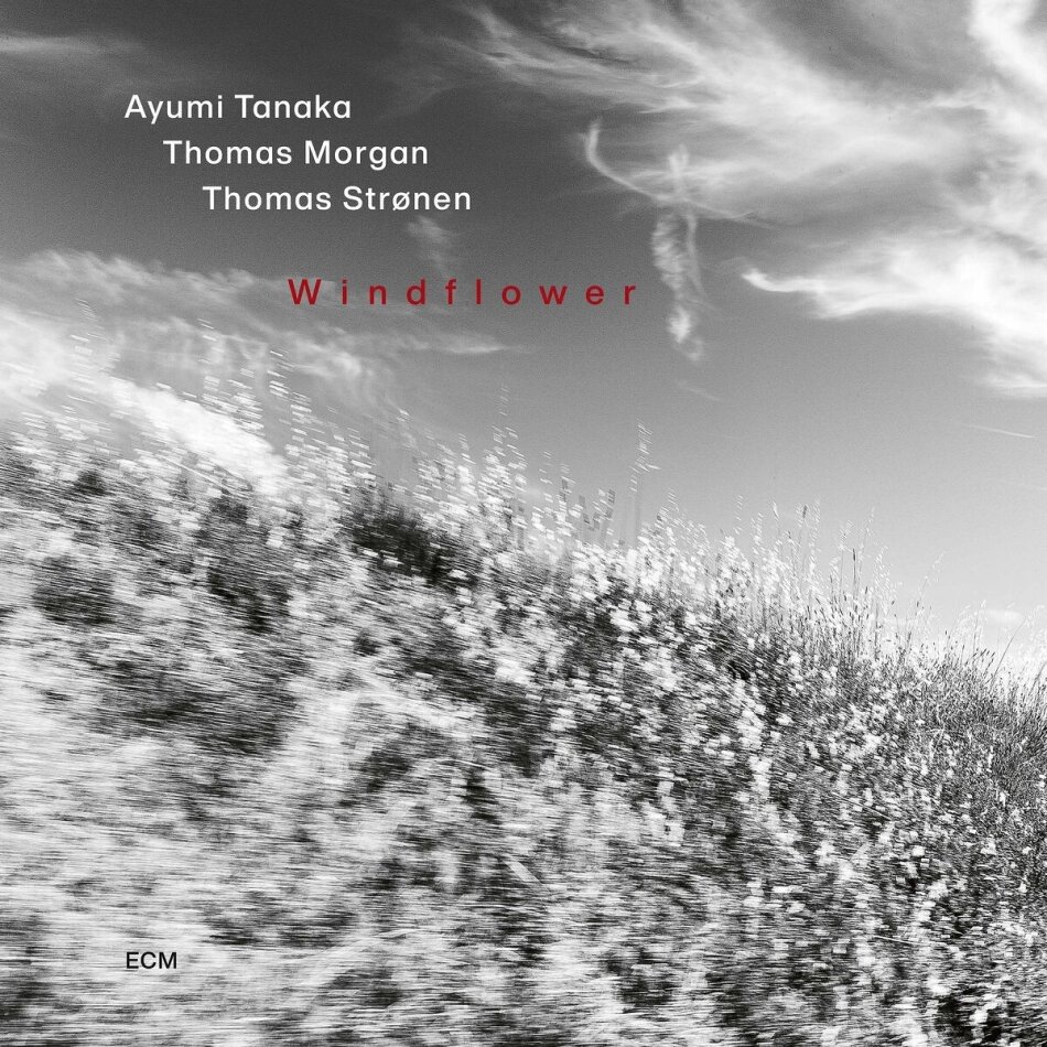 Ayumi Tanaka, Thomas Morgan & Thomas Stronen - Windflower