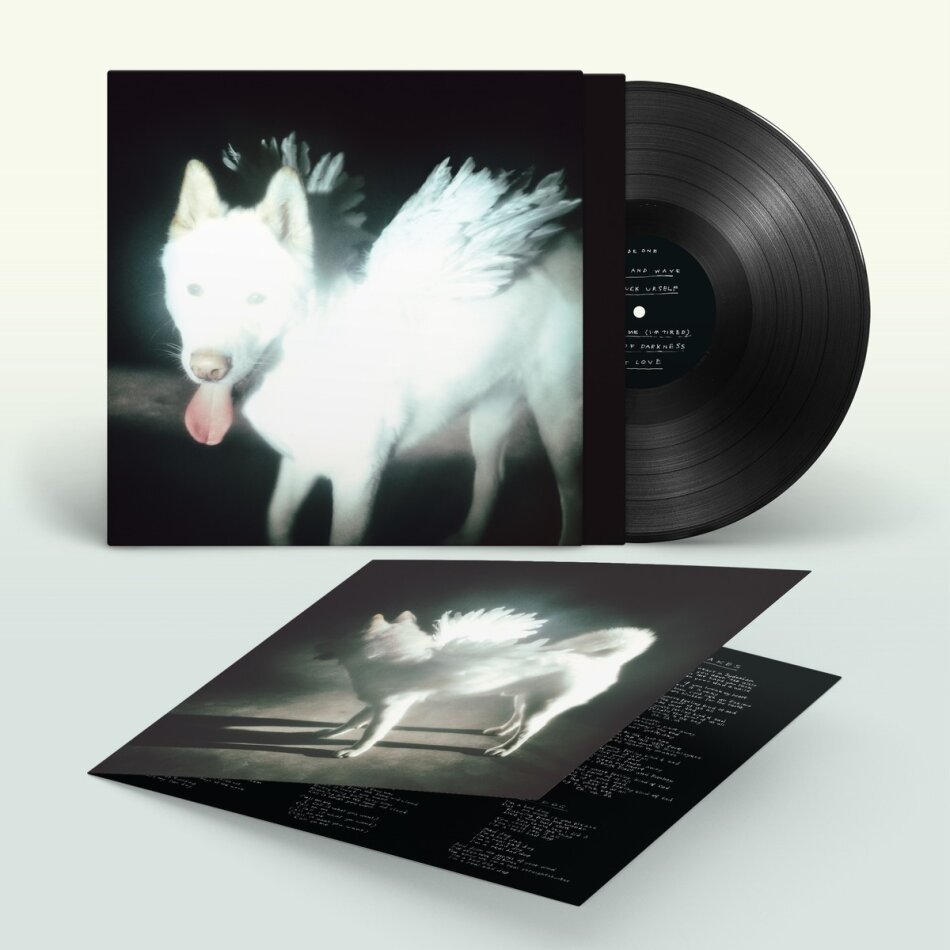 Fat Dog - Cancel Me (I'm Tired) LP