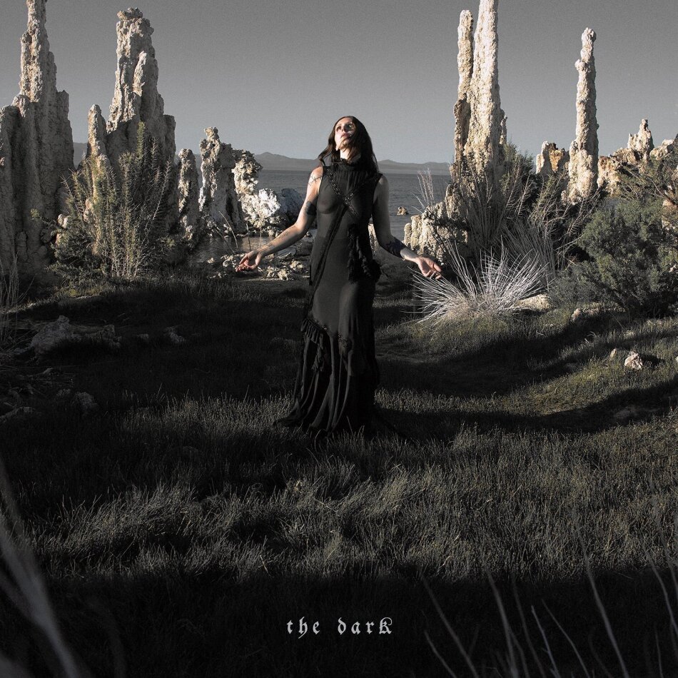 Chelsea Wolfe - The Dark LP