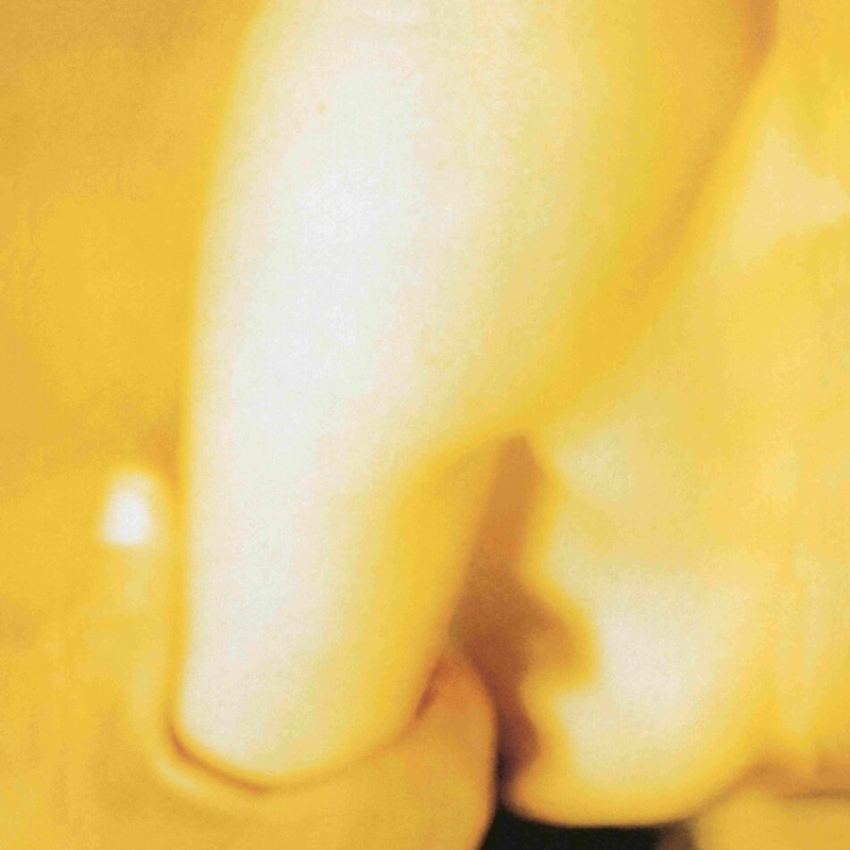 The Smashing Pumpkins - Pisces Iscariot 2026 Reissue, Capitol Records, 2 LPs